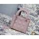 MINI LADY DIOR BAG Ultramatte Cannage Calfskin