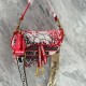 DIORAMOUR SADDLE BAG DIORAMOUR SADDLE BAG