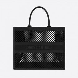 DIOR BOOK TOTE