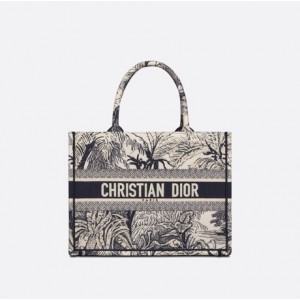 DIOR BOOK TOTE