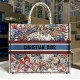 DIOR BOOK TOTE