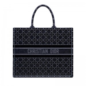 DIOR BOOK TOTE