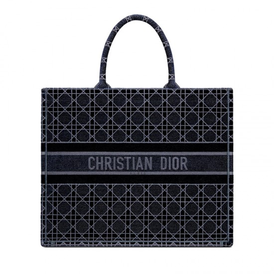 DIOR BOOK TOTE