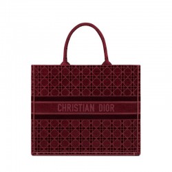 DIOR BOOK TOTE