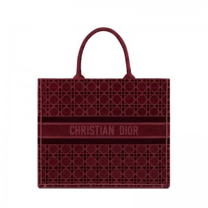 DIOR BOOK TOTE