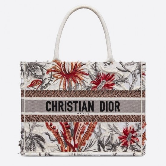 DIOR BOOK TOTE