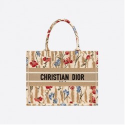 DIOR BOOK TOTE