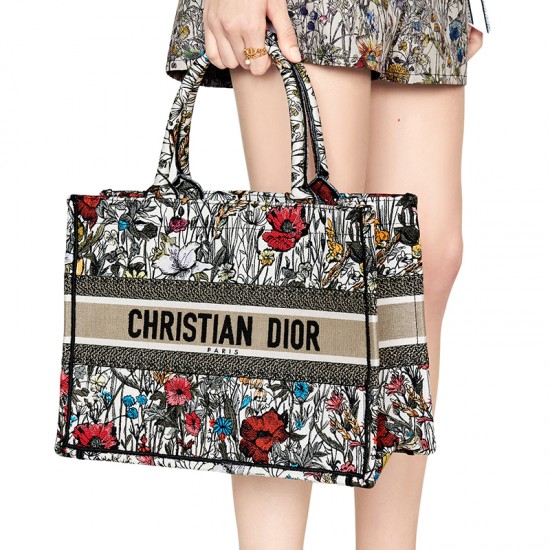 DIOR BOOK TOTE