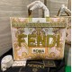 FENDI SUNSHINE Leather