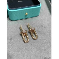 Tiffany Earrings